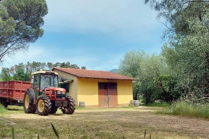 CANTINA CAMPO DEL MONTE TOSCANA