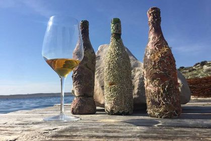 vini croati sommersi coral wine