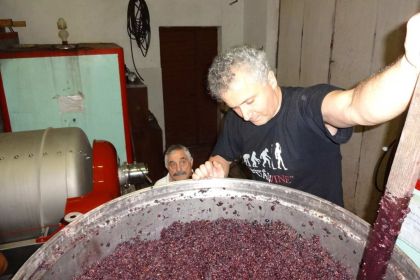 STEFANO WINE PRESS GRAPES CAMPO DEL MONTE TOSCANA